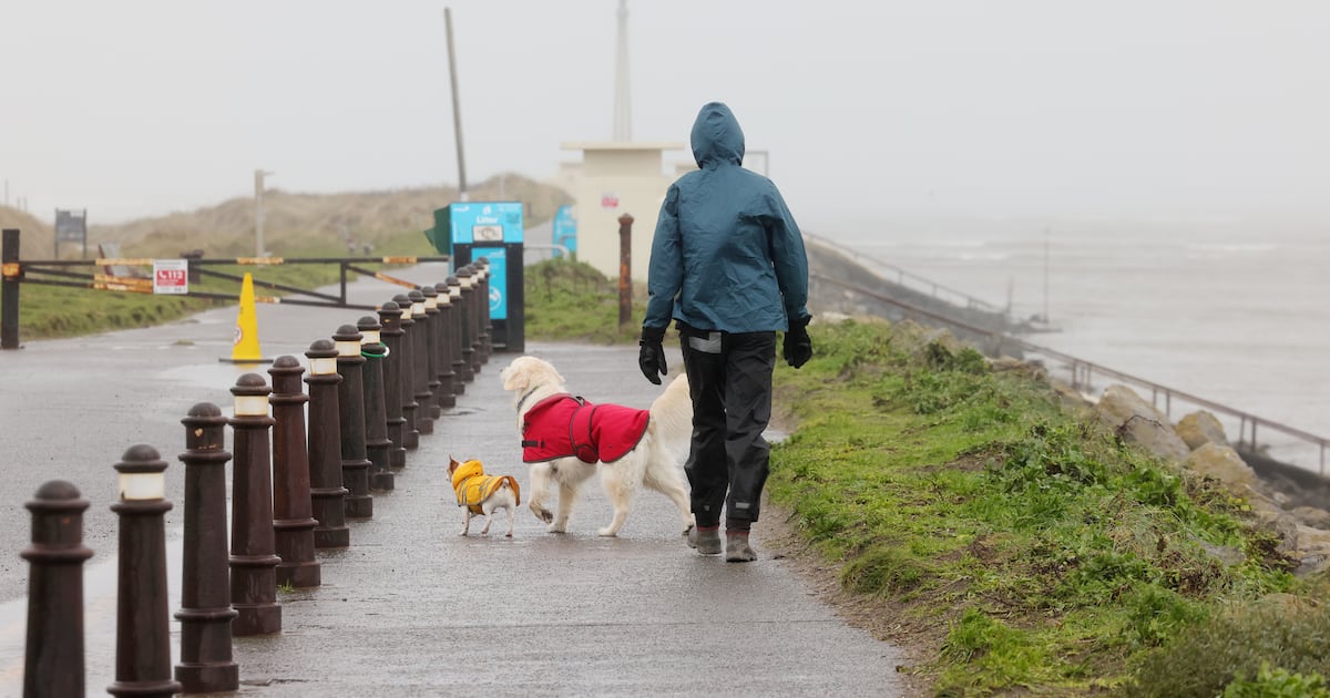 Met Éireann says unsettled weather to continue over coming days – The Irish Times