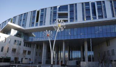 Additional payments of €60m deemed due to Bam as part of children’s hospital project – The Irish Times