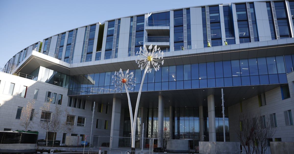 Additional payments of €60m deemed due to Bam as part of children’s hospital project – The Irish Times