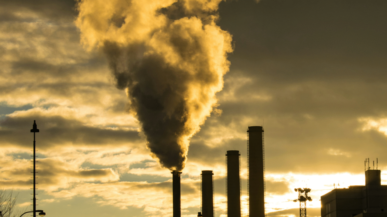 Ireland facing multi-billion euro climate fines, committee hears