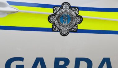 Garda feared for his life when dragged six metres by motorist, court hears – The Irish Times