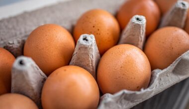 Eggs, milk, rice and potatoes – The Irish Times