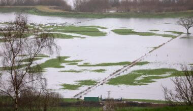 Should Ireland introduce a legal ‘duty of care’ for rainwater? – The Irish Times