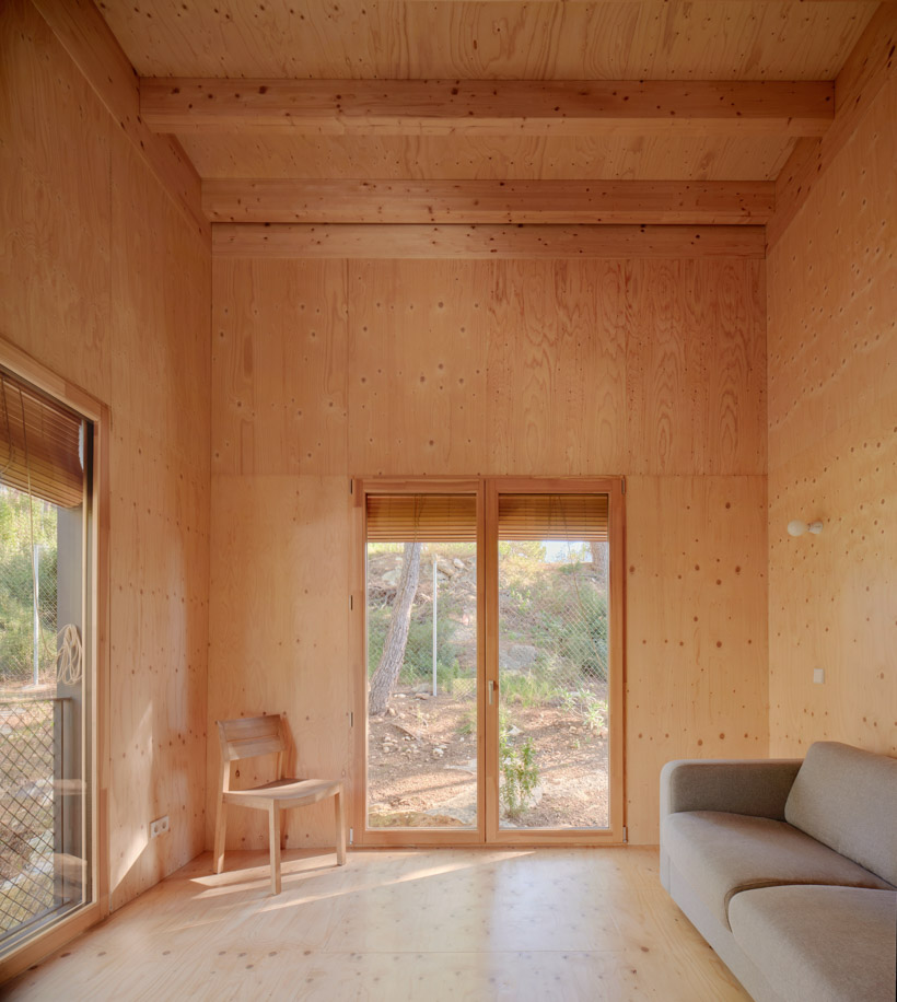 lightweight timber house in spain interlaces three raised volumes within tree canopy