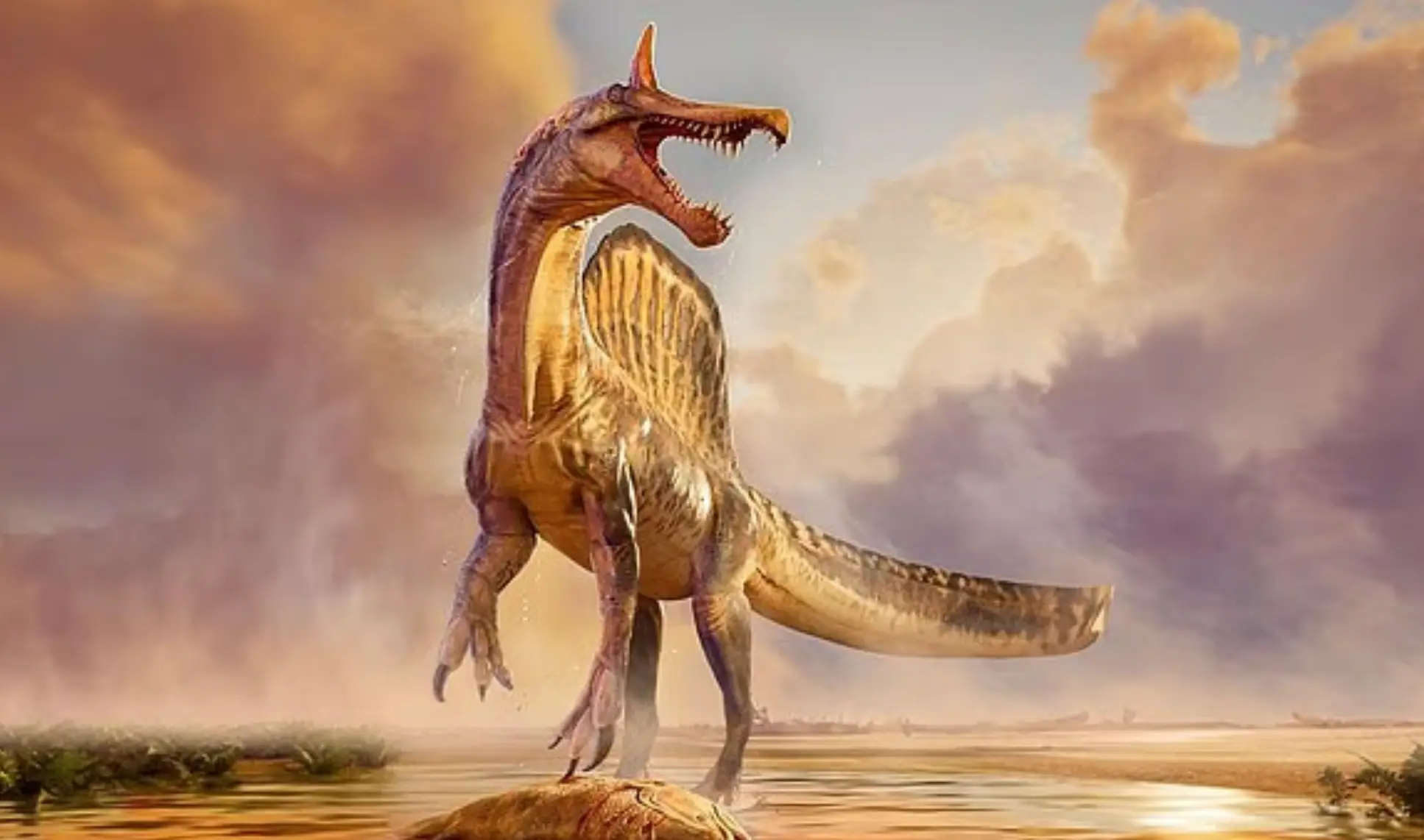 An artist's depiction of the impressive Spinosaurus mirabilis (