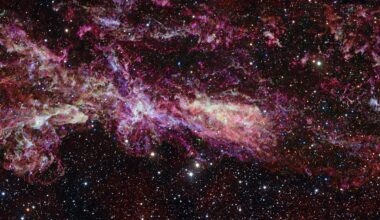 A small portion of an image showing the Central Molecular Zone at the centre of the Milk Way, captured by the Atacama Large Millimeter/submillimeter Array. Credit: ALMA(ESO/NAOJ/NRAO)/S. Longmore et al. Background: ESO/D. Minniti et al.