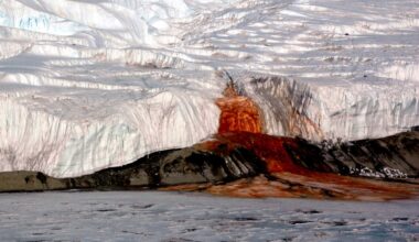 There's a Perfectly Reasonable Explanation for Antarctica's Waterfall of Blood