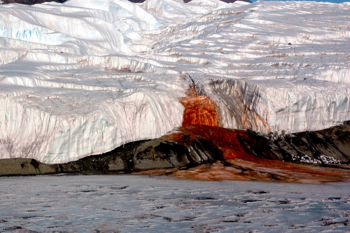 There's a Perfectly Reasonable Explanation for Antarctica's Waterfall of Blood