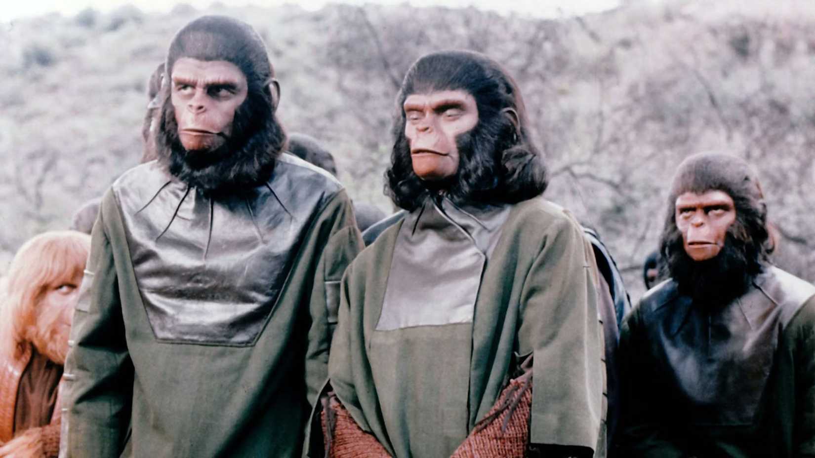 Apes from the original Planet of the Apes series