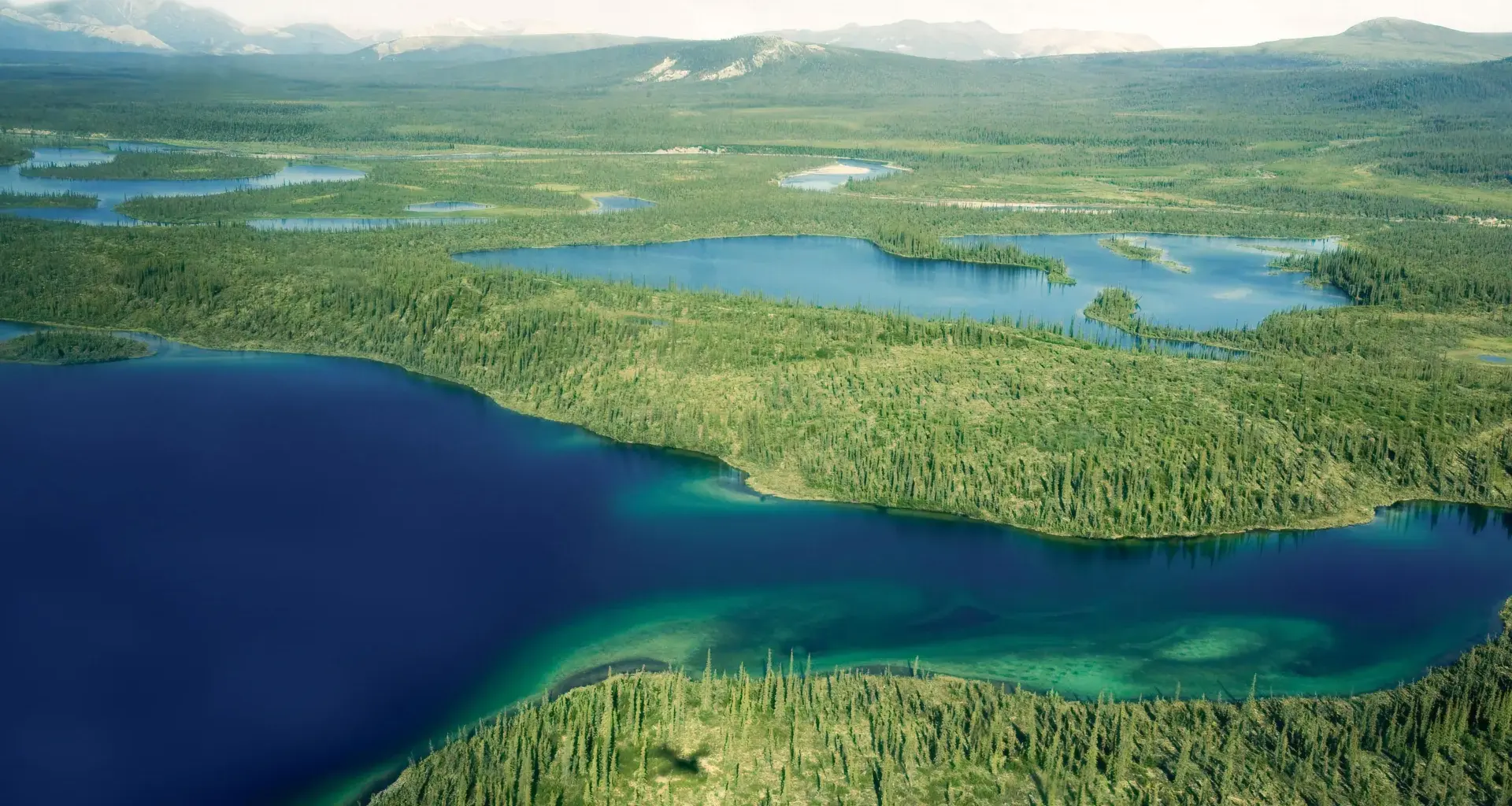 A simple water shift could turn Arctic farmland into a carbon sink