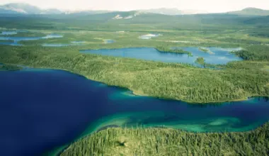 A simple water shift could turn Arctic farmland into a carbon sink