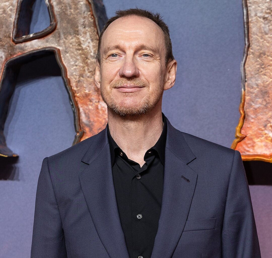 Harry Potter’s David Thewlis on Return for HBO TV Series