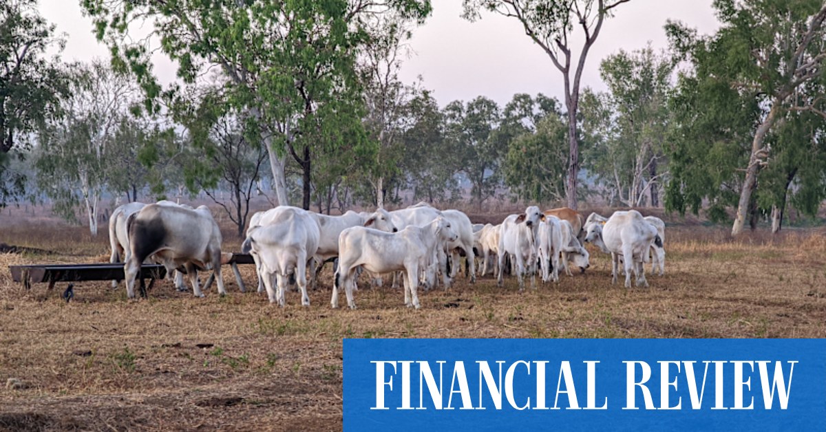 Download on the App Store