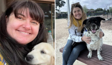 Yahoo lifestyle home