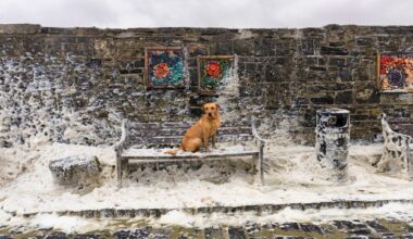 ‘A worthy champion for all photographers’ – Irish Independent’s Mark Condren wins record seventh Press Photographer of the Year award