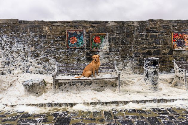 ‘A worthy champion for all photographers’ – Irish Independent’s Mark Condren wins record seventh Press Photographer of the Year award