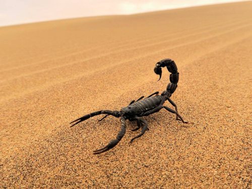 b5256fc458d88f06c4ba81c7bf1becbe