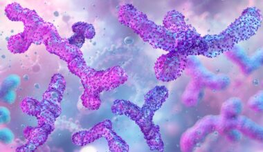 What Poop Is Teaching Scientists About How the Gut Ages