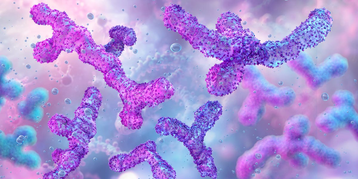 What Poop Is Teaching Scientists About How the Gut Ages