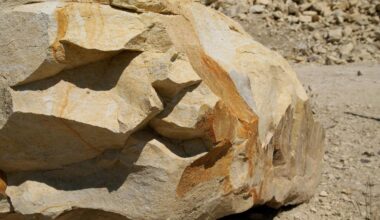 Quarry quarrel: Opposition to plans to infill a Longford 'biodiversity hotspot'