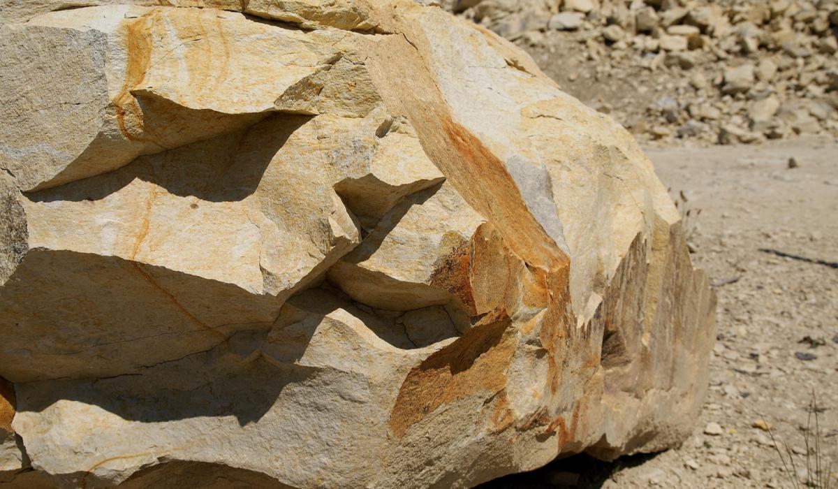 Quarry quarrel: Opposition to plans to infill a Longford 'biodiversity hotspot'