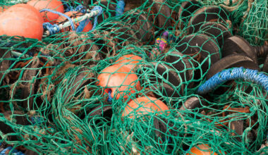 Fisherman to stand trial charged with stabbing two other crewmen