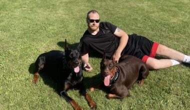 Seamus Culleton's daughter hopes he's deported back to Ireland