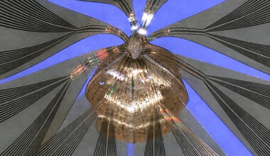 Living ‘mini brains’ meet next-generation bioelectronics