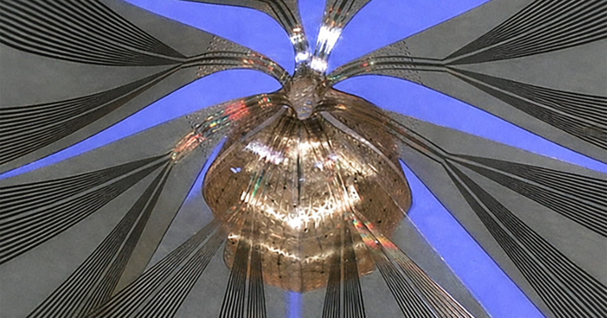 Living ‘mini brains’ meet next-generation bioelectronics