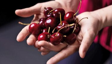 Stuff in cherries may slow agressive breast cancer