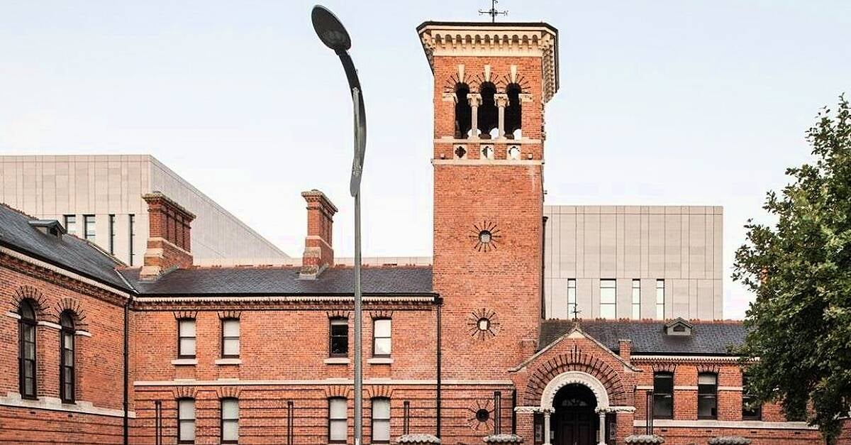 Chinese students beaten with crowbars left Ireland following vicious attack