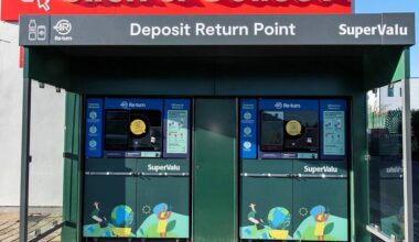 Council to ask Re-Turn to help with cleaning bills as 'scavengers' empty bins across Dublin