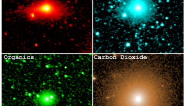 NASA’s SPHEREx Examines Comet 3I/ATLAS’s Coma