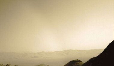 Non-biologic Processes Don't Fully Explain Mars Organics