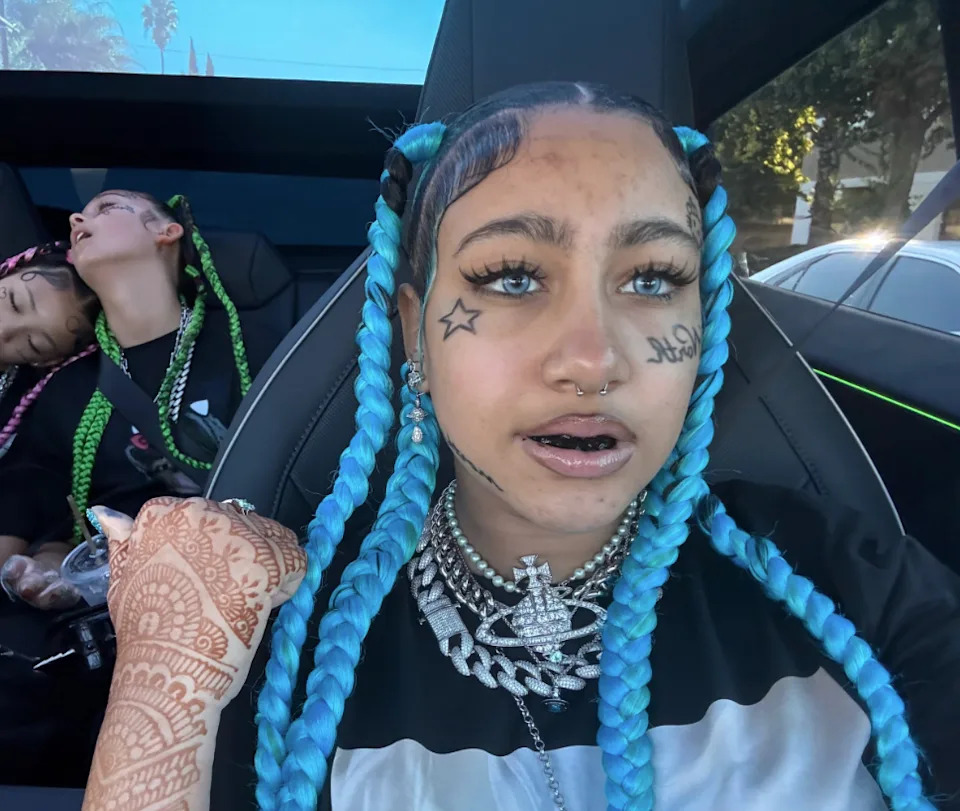 <span class="wp-caption-text">TikTok/kimandnorth</span>