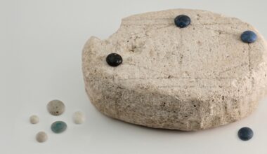 Researchers crack the Rules of Unknown Board Game from the Roman period using AI