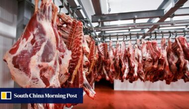 Brazil races to China beef cap as 55% tariff risks price collapse