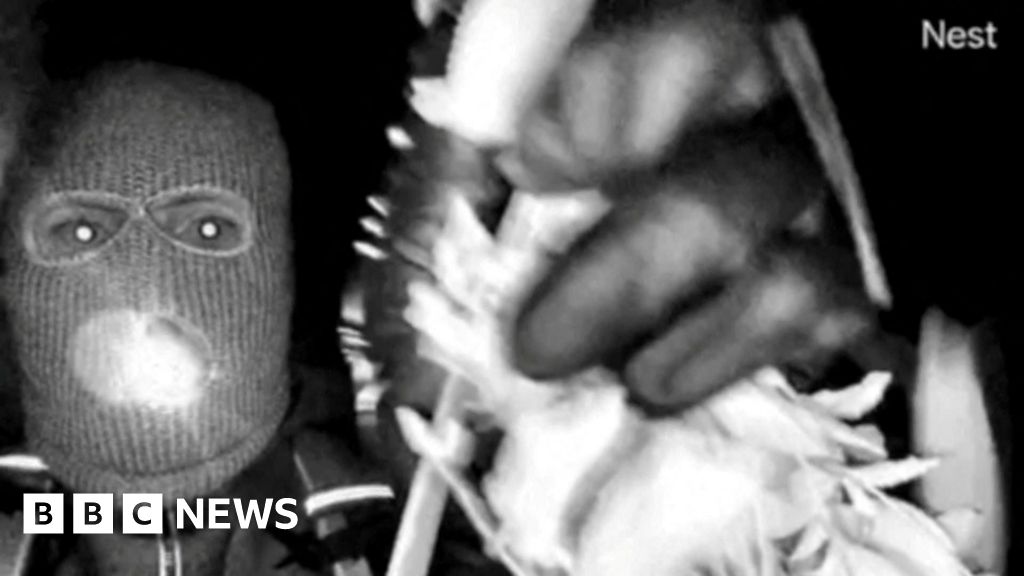 FBI releases description of suspect in Nancy Guthrie kidnapping - BBC