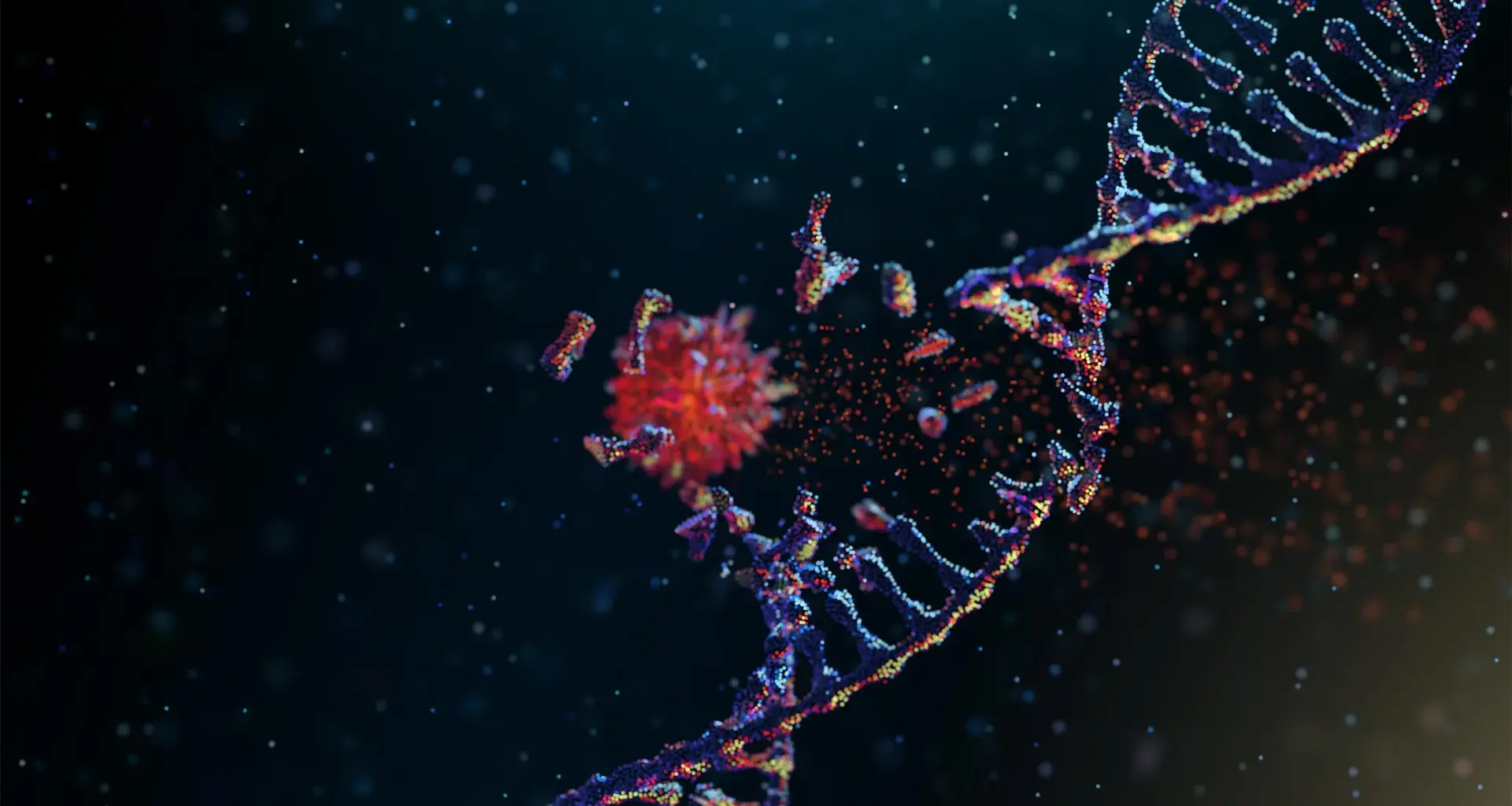 Scientists discover the enzyme that lets cancer rapidly rewire its DNA