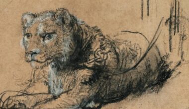 Rembrandt sketch of young lion sells for record €17.8 million