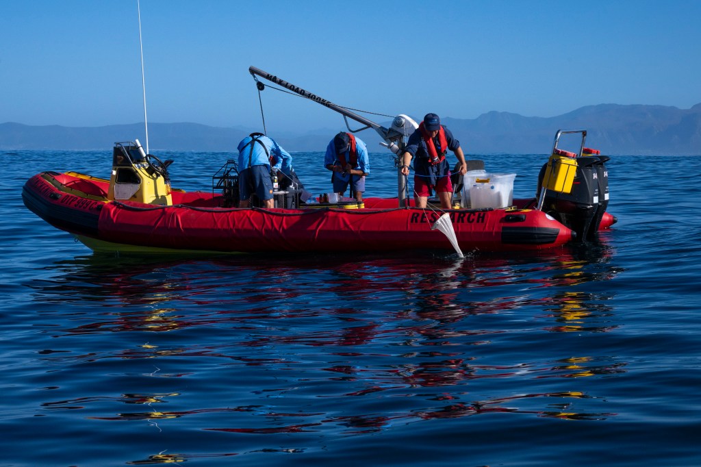 Scientists collect biological samples from South Africa’s Walker Bay as part of the BioSCape campaign. The information from the samples will help to quantify the biodiversity of the bay.