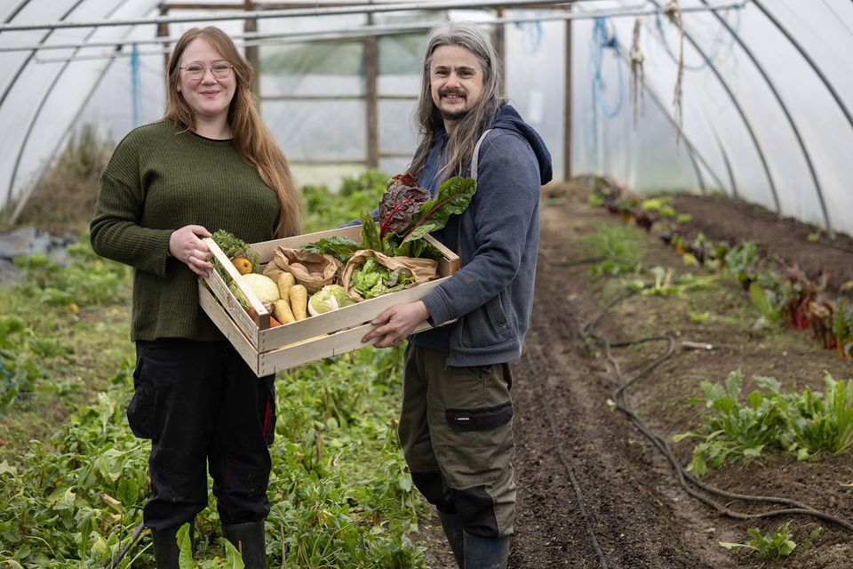 Mairéad and Jamie Kavanagh of Crainn Nua Farm with some of their produce. Photos: John D Kelly