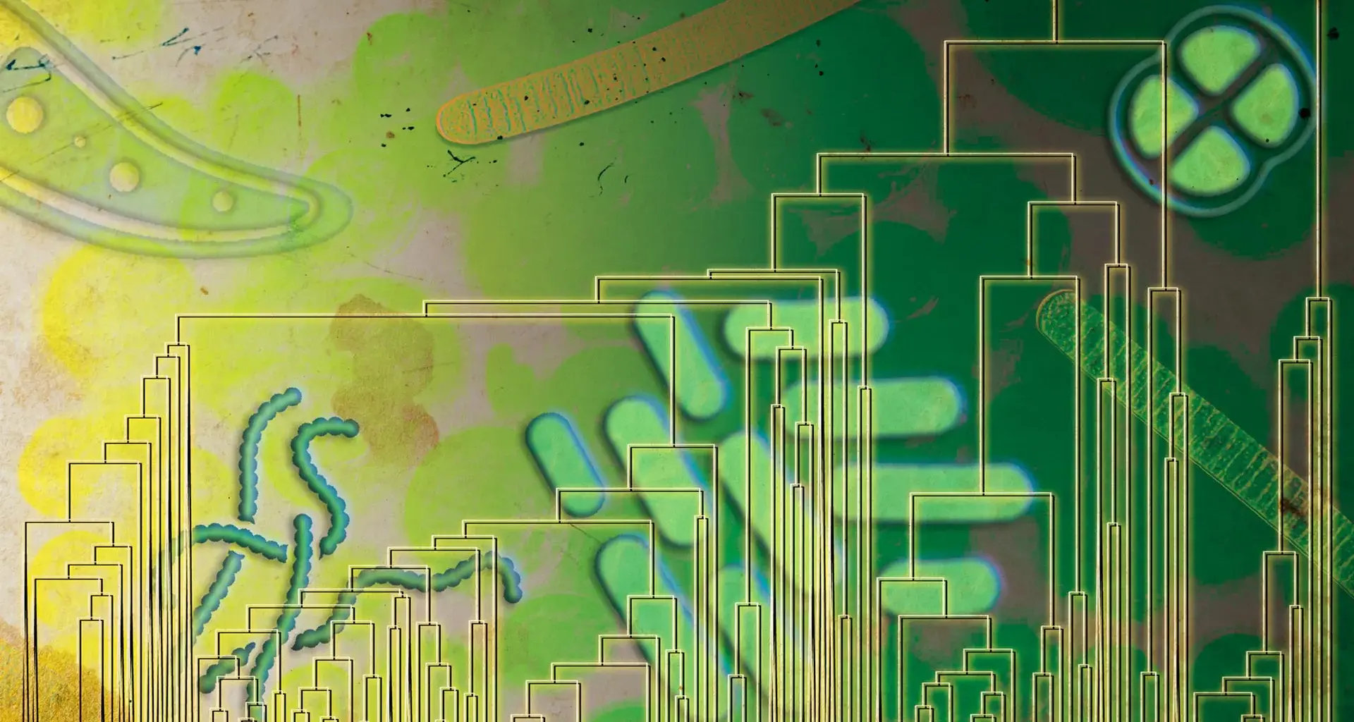 Ancient microbes may have used oxygen 500 million years before it filled Earth’s atmosphere