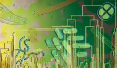 Ancient microbes may have used oxygen 500 million years before it filled Earth’s atmosphere