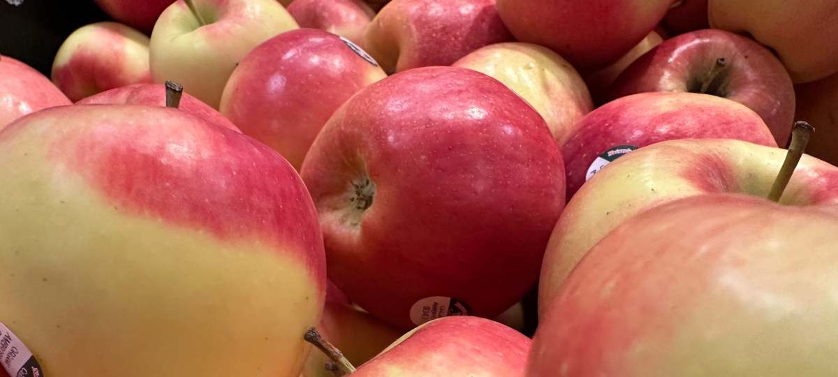 Perceptions on National Economy Mostly Stagnant in Canada – Research Co.