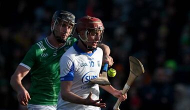 Allianz HL 1B: Down fall just short against Wexford