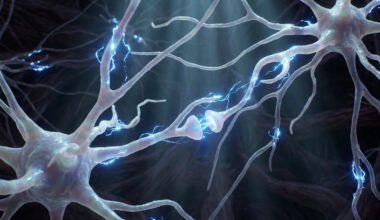 Scientists use machine learning to control specific brain circuits