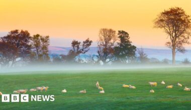 Farmland prices soar in NI, adding to inheritance tax concerns - BBC