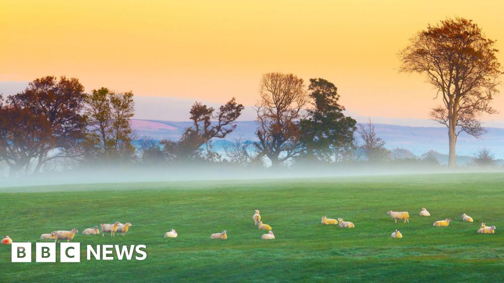 Farmland prices soar in NI, adding to inheritance tax concerns - BBC