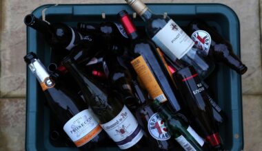 'We need a wheelie bin for recycling' - Press readers call for change